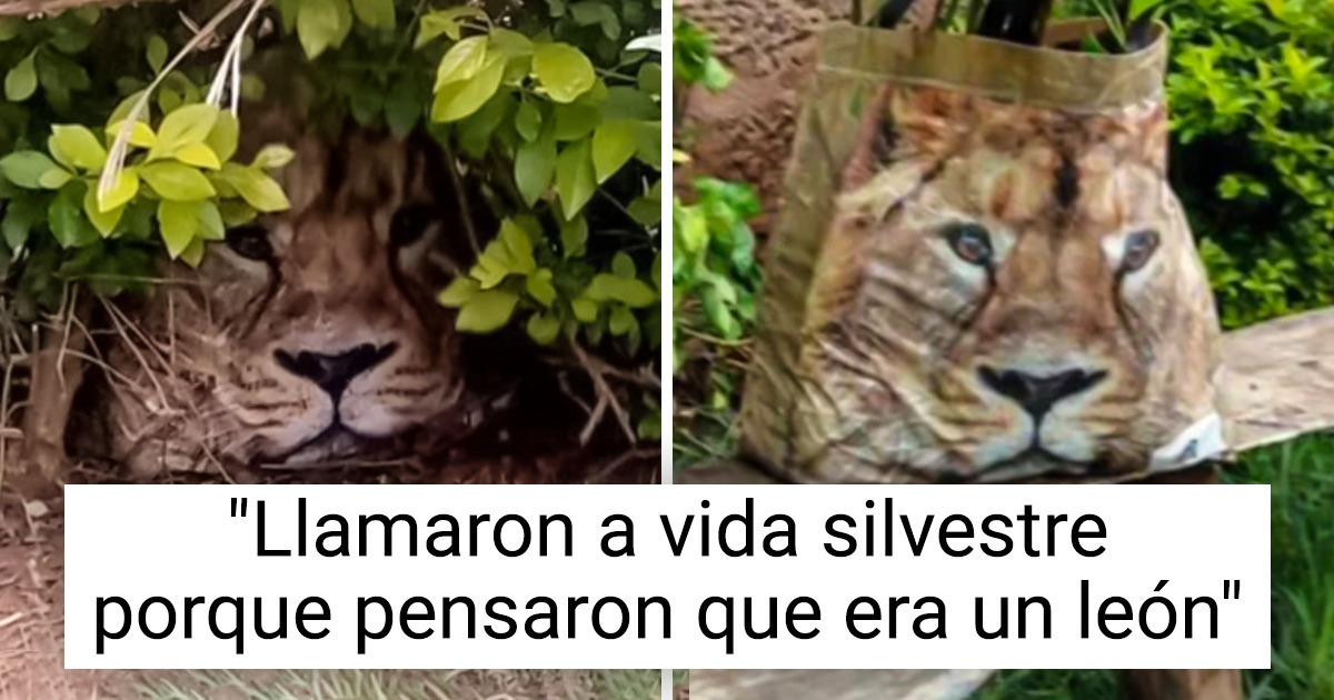 19 Usuarios que pueden convertir en comedia la más mínima situación del día