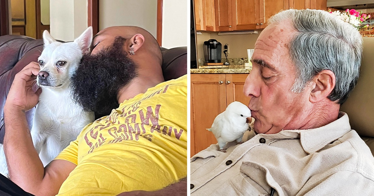 20 Padres que se negaban a tener una mascota hasta que el amor de los animalitos los invadió