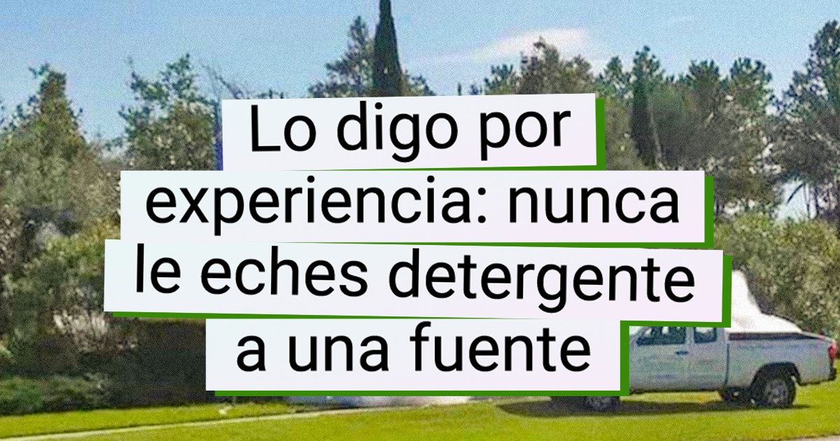 19 Personas que parecen haber vivido el día más turbulento de sus vidas 19 Personas que parecen haber vivido el día más turbulento de sus vidas