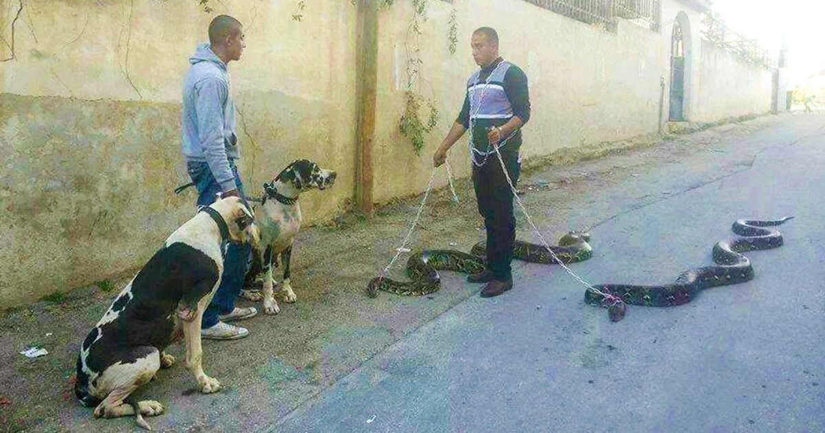 20 Fotos que parecen haber sido tomadas en otro planeta 20 Fotos que parecen haber sido tomadas en otro planeta