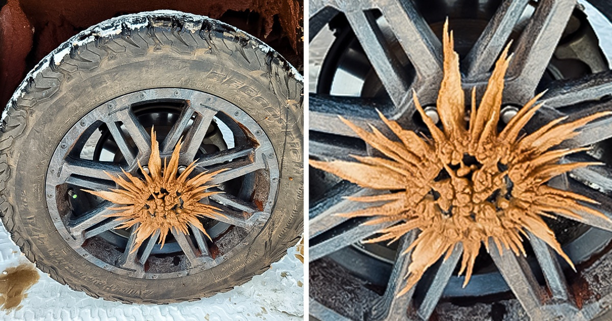 19 Veces en que la naturaleza fue la clave para que se crearan objetos insólitos