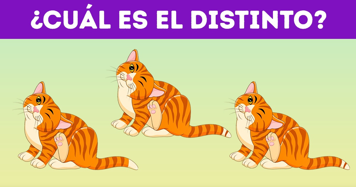 14 Acertijos visuales que harían temblar hasta a los detectives de Agatha Christie