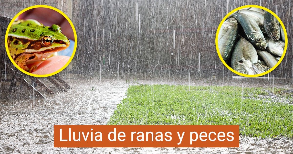 15 Fenómenos meteorológicos con los que la naturaleza dejó claro que no se anda con rodeos 15 Fenómenos meteorológicos con los que la naturaleza dejó claro que no se anda con rodeos
