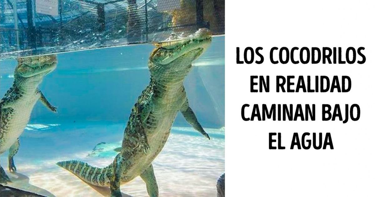 15 Imágenes que muestran cómo la vida nos engaña todos los días 15 Imágenes que muestran cómo la vida nos engaña todos los días