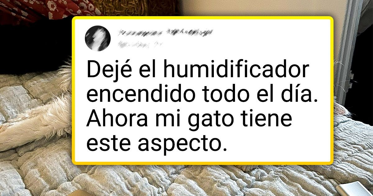 18 Tuits que entenderán todos los que tengan una mascota de cuatro patas