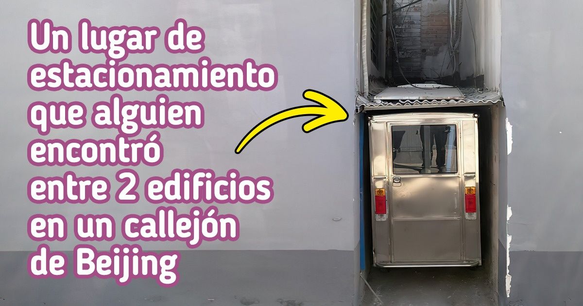 22 Personas que supieron alcanzar la perfección al encajar objetos más que satisfactoriamente