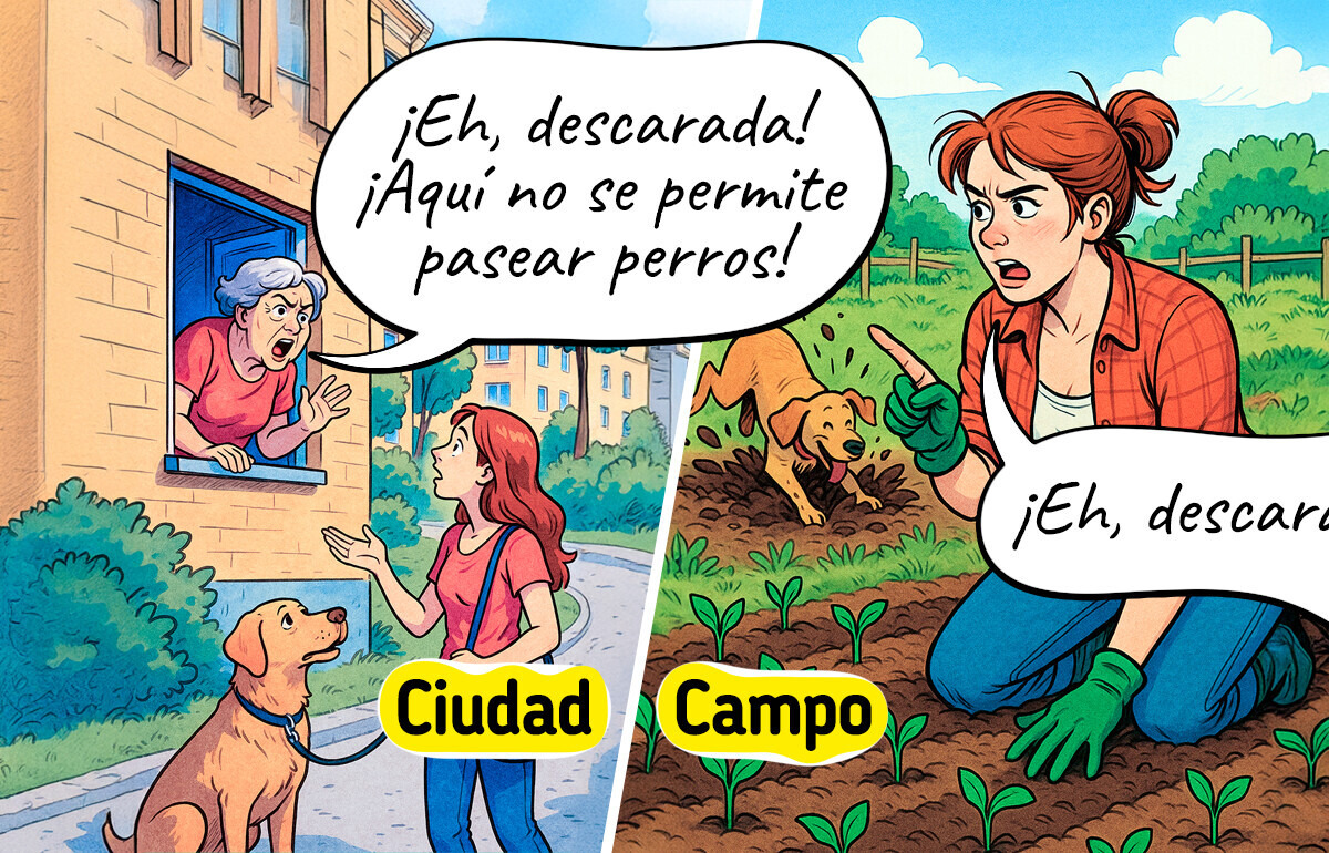 El campo vs. la ciudad: 14 cómics adorables que capturan la esencia de cada estación