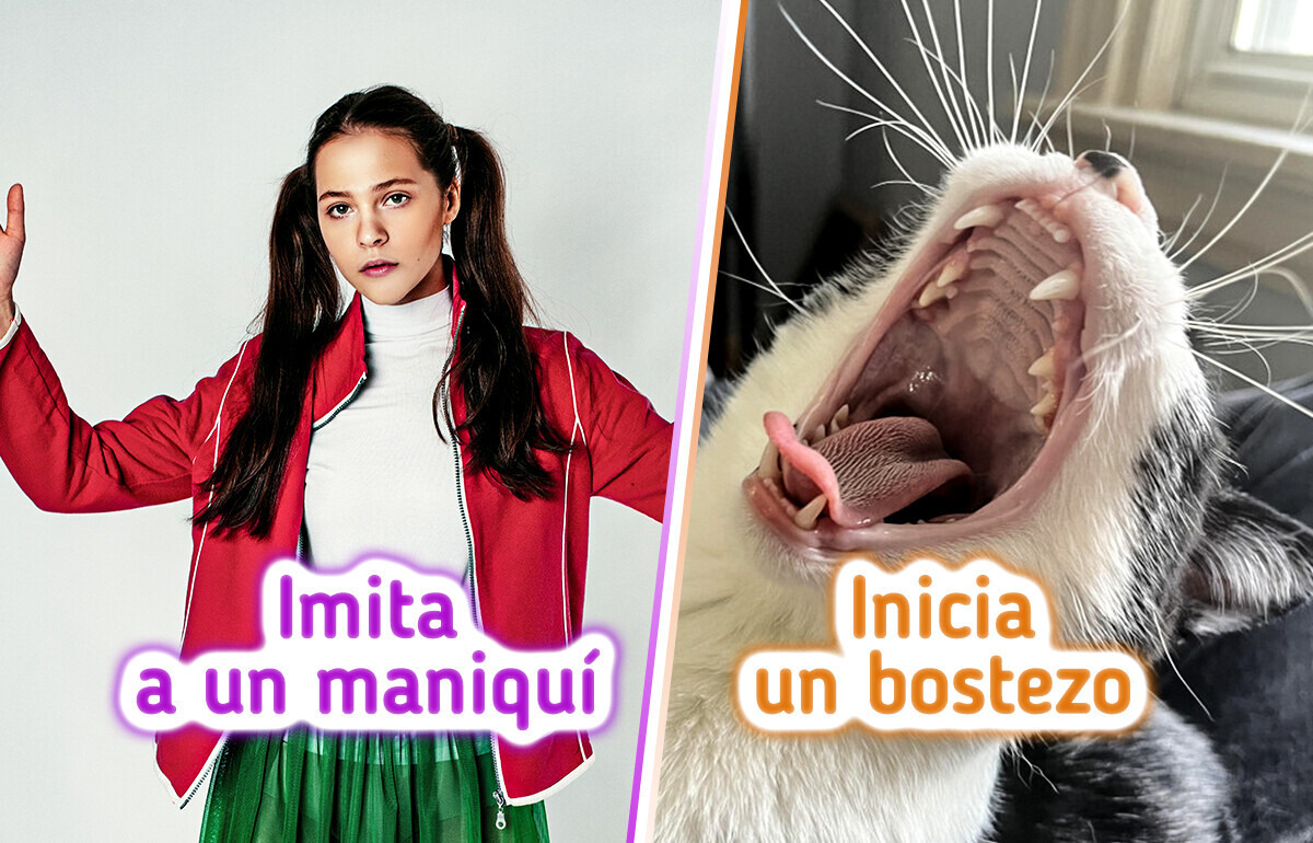 10 Métodos tan extraños como efectivos para aliviar el estrés en segundos