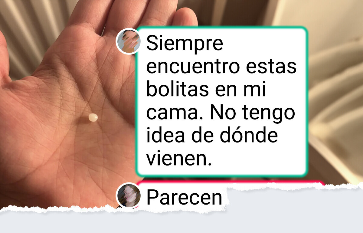 15 Imágenes que empiezan como un día normal y terminan en un caos que nadie vio venir