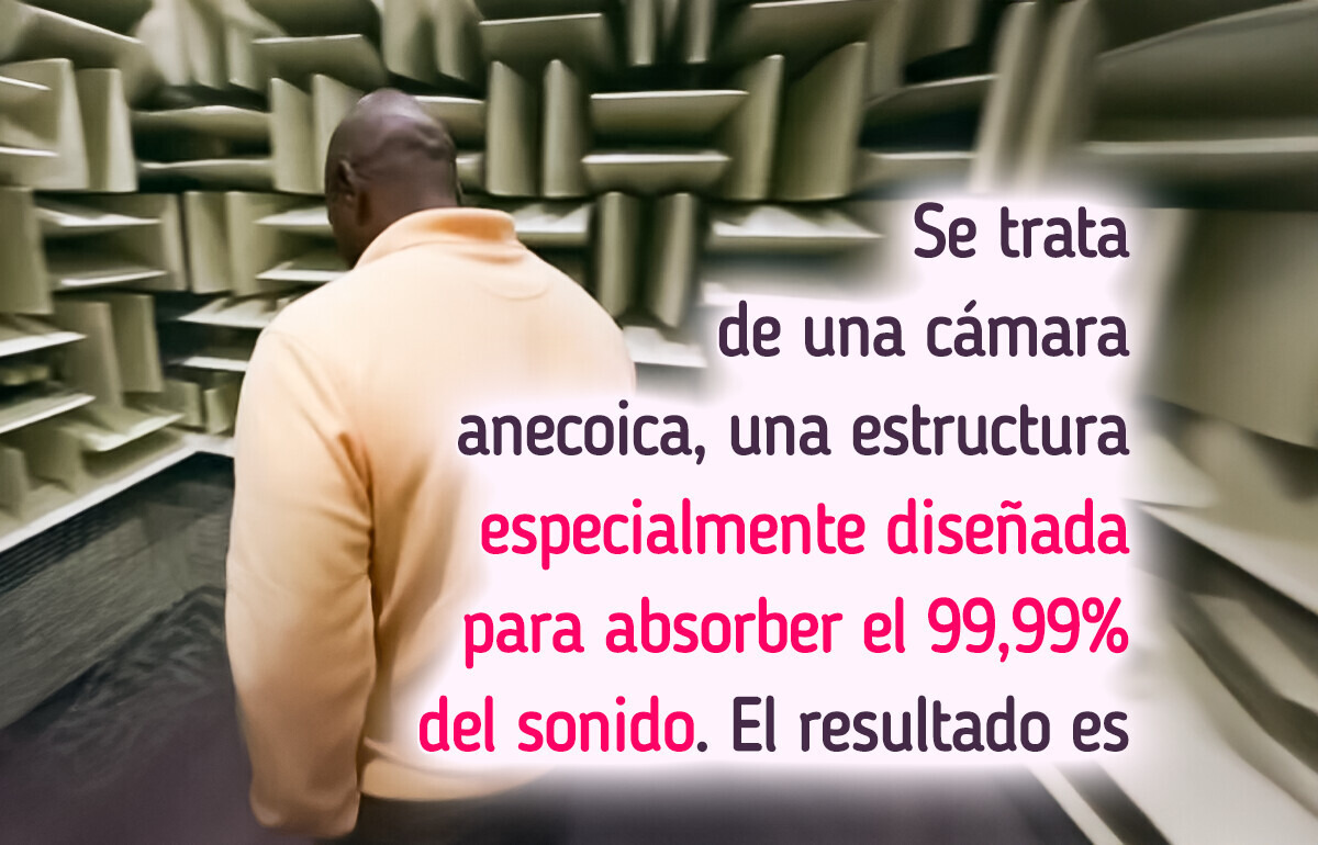 Nadie ha soportado estar en la habitación más silenciosa sin sentir que perdía la cordura Nadie ha soportado estar en la habitación más silenciosa sin sentir que perdía la cordura