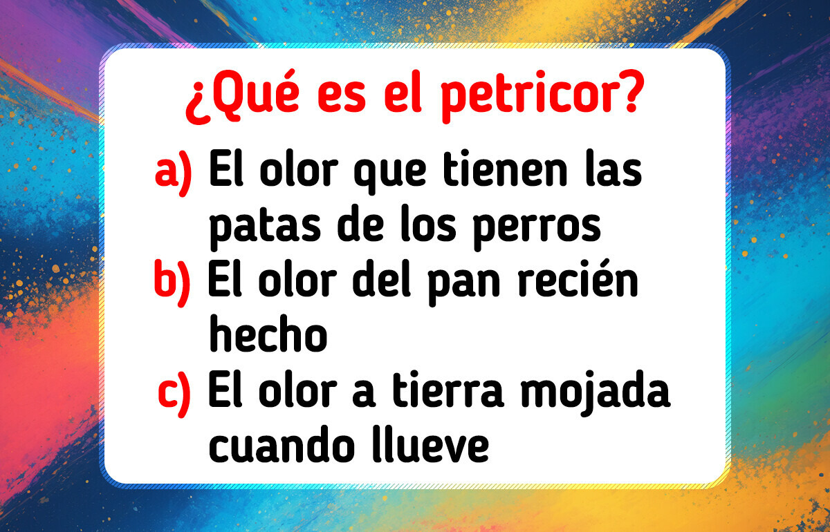 Test: Solo un verdadero amante del lenguaje aprueba este test de palabras poco usadas en el español Test: Solo un verdadero amante del lenguaje aprueba este test de palabras poco usadas en el español