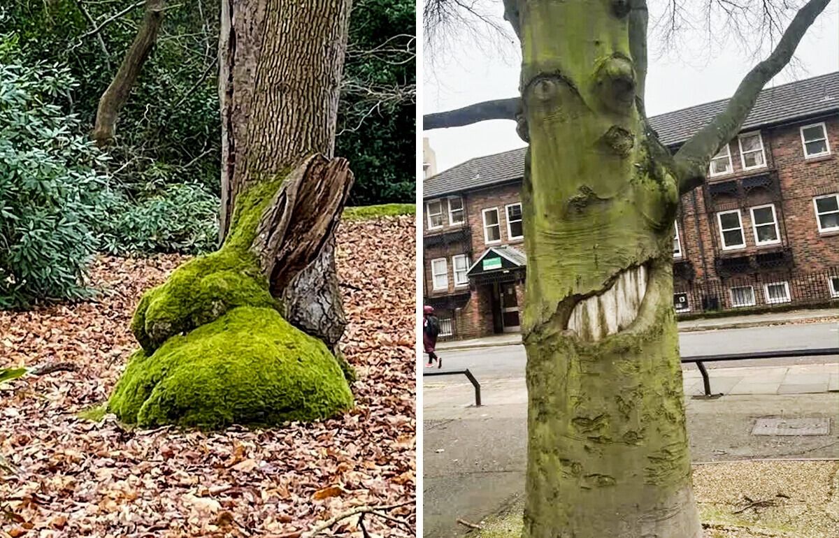 19 Fotos que te harán mirar dos veces y aun así no entenderás qué está pasando