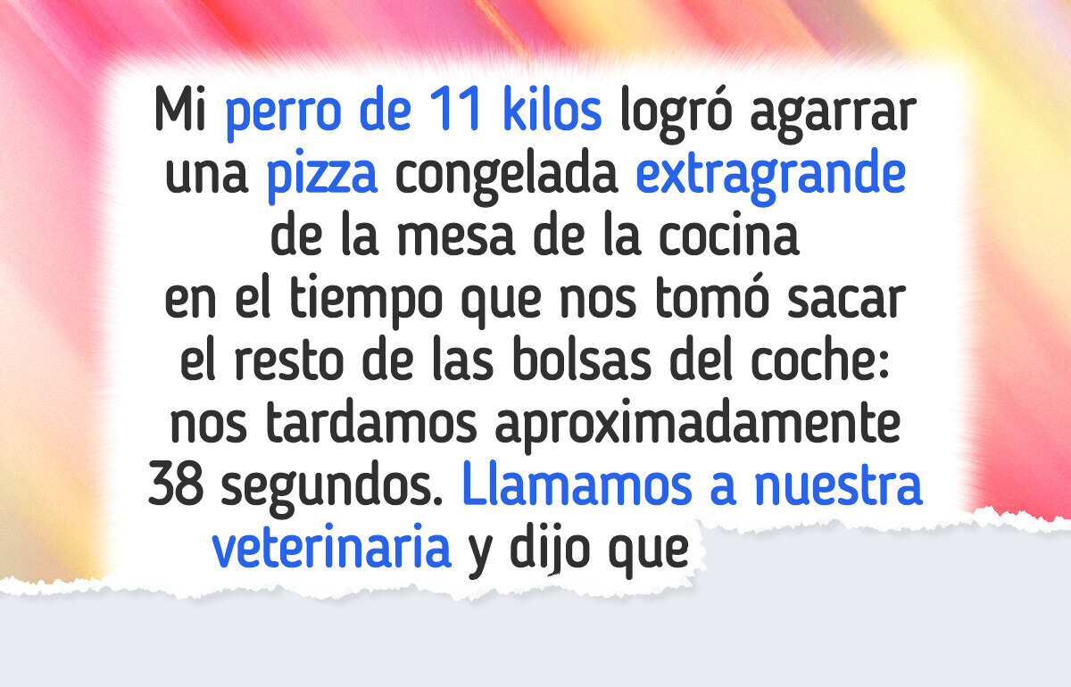 10 Perros que pusieron a sus dueños con los pelos de punta (no sabemos si reír o llorar) 10 Perros que pusieron a sus dueños con los pelos de punta (no sabemos si reír o llorar)