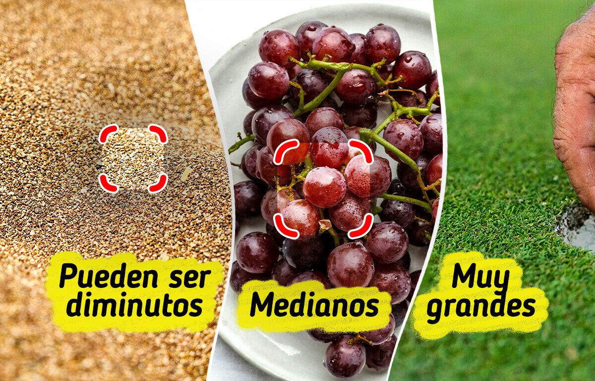 Lo que se sabe sobre los cálculos corporales y algunos consejos que te pueden ayudar a evitarlos