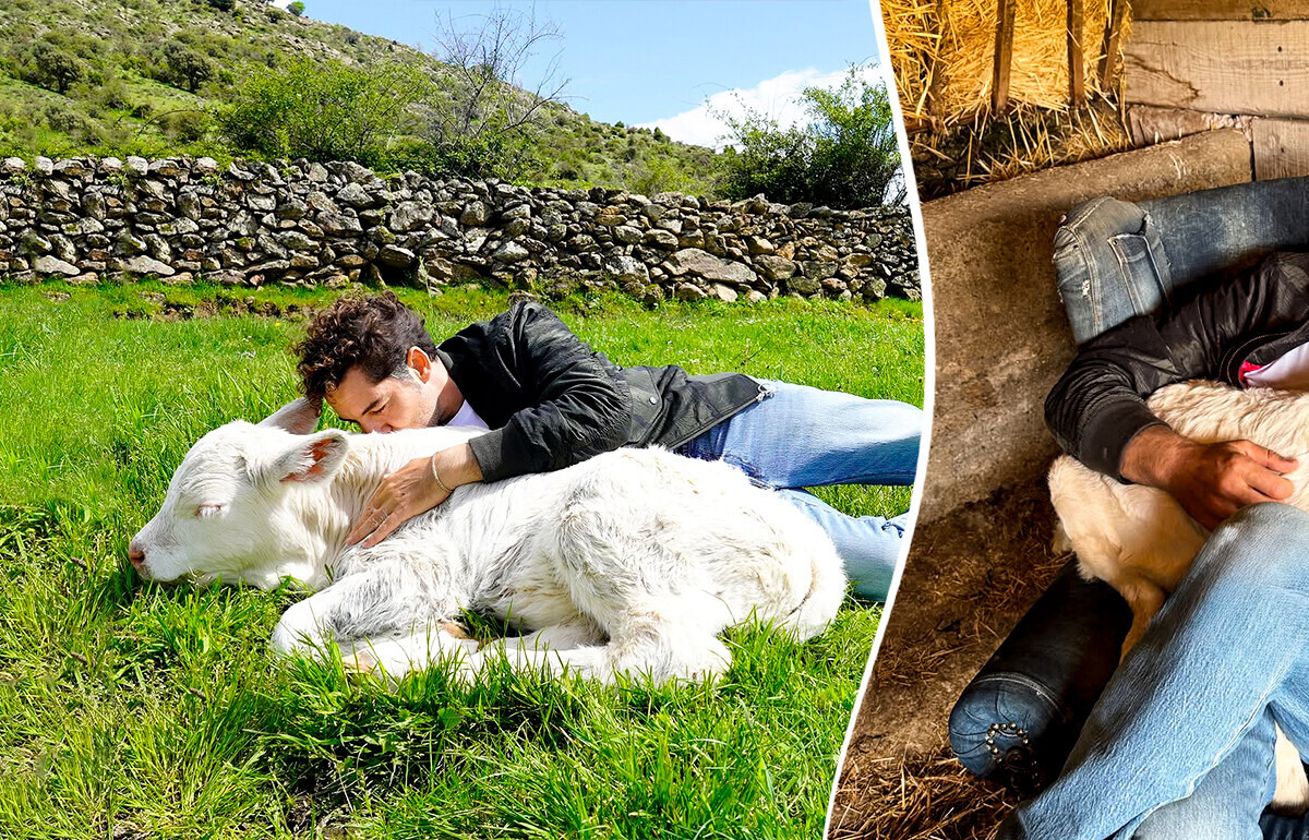David Bisbal cambió el escenario por el campo durante unos días (y nos derritió el corazón a todas)