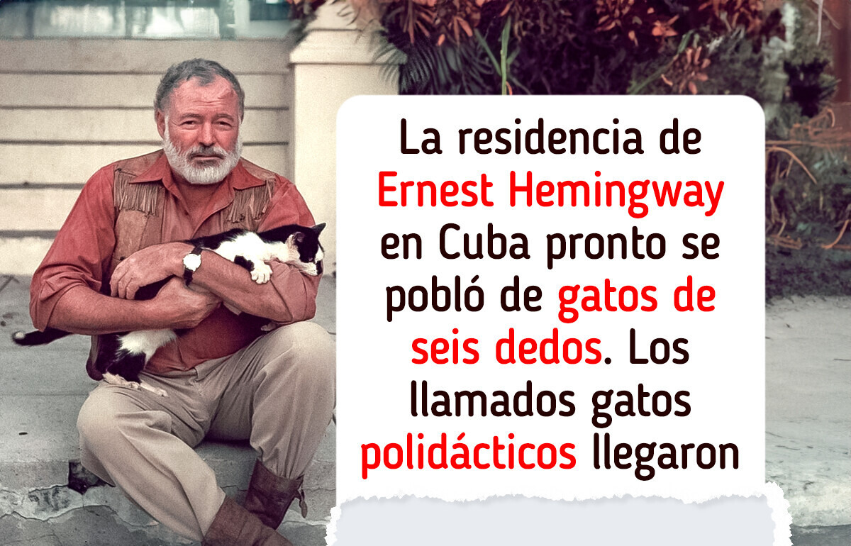 10 Veces en las que los gatos dejaron huella en la vida de grandes autores 10 Veces en las que los gatos dejaron huella en la vida de grandes autores