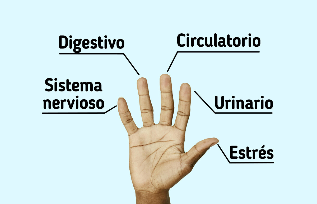 Controla la ansiedad y el estrés en solo 10 minutos con esta técnica japonesa