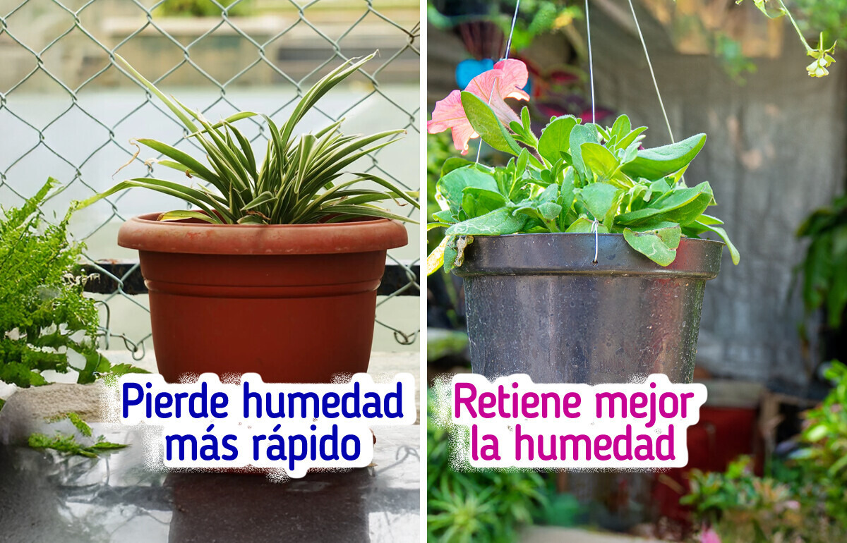 La maceta que tienes en casa puede ser el inicio de tu huerto (te decimos cómo) La maceta que tienes en casa puede ser el inicio de tu huerto (te decimos cómo)