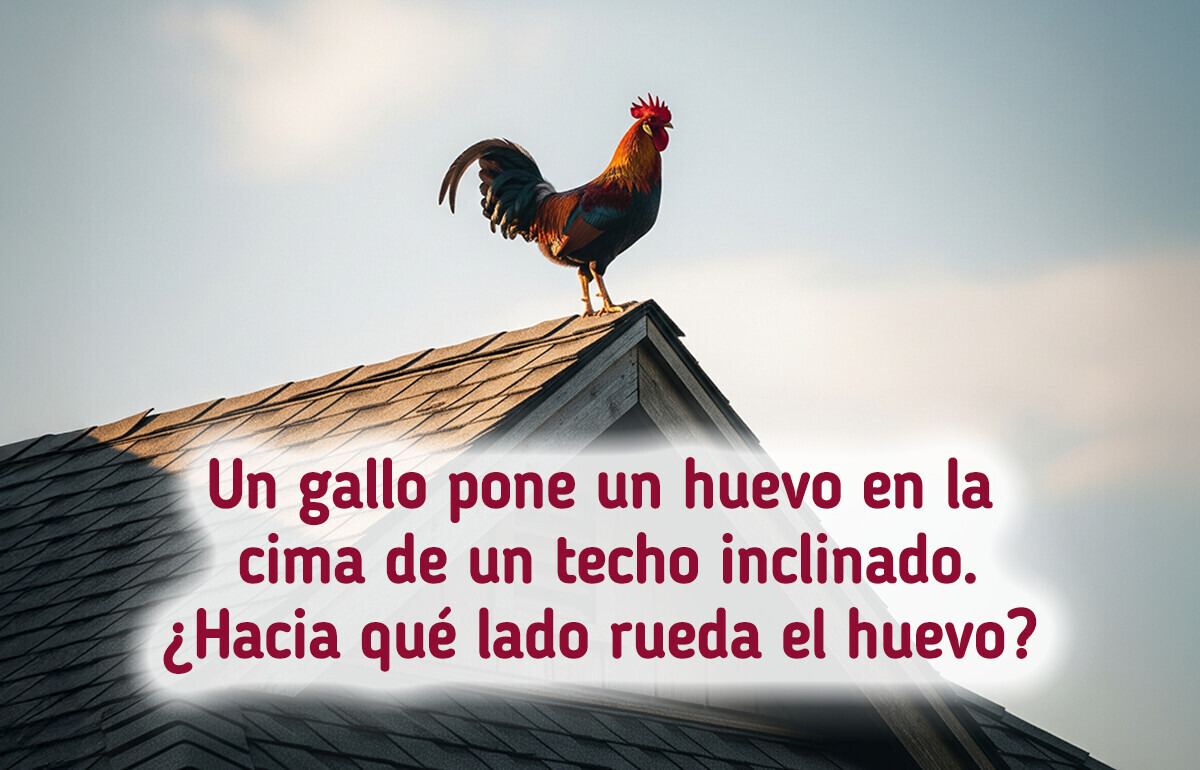 Solo los que piensan antes de responder pasan este test de sentido común