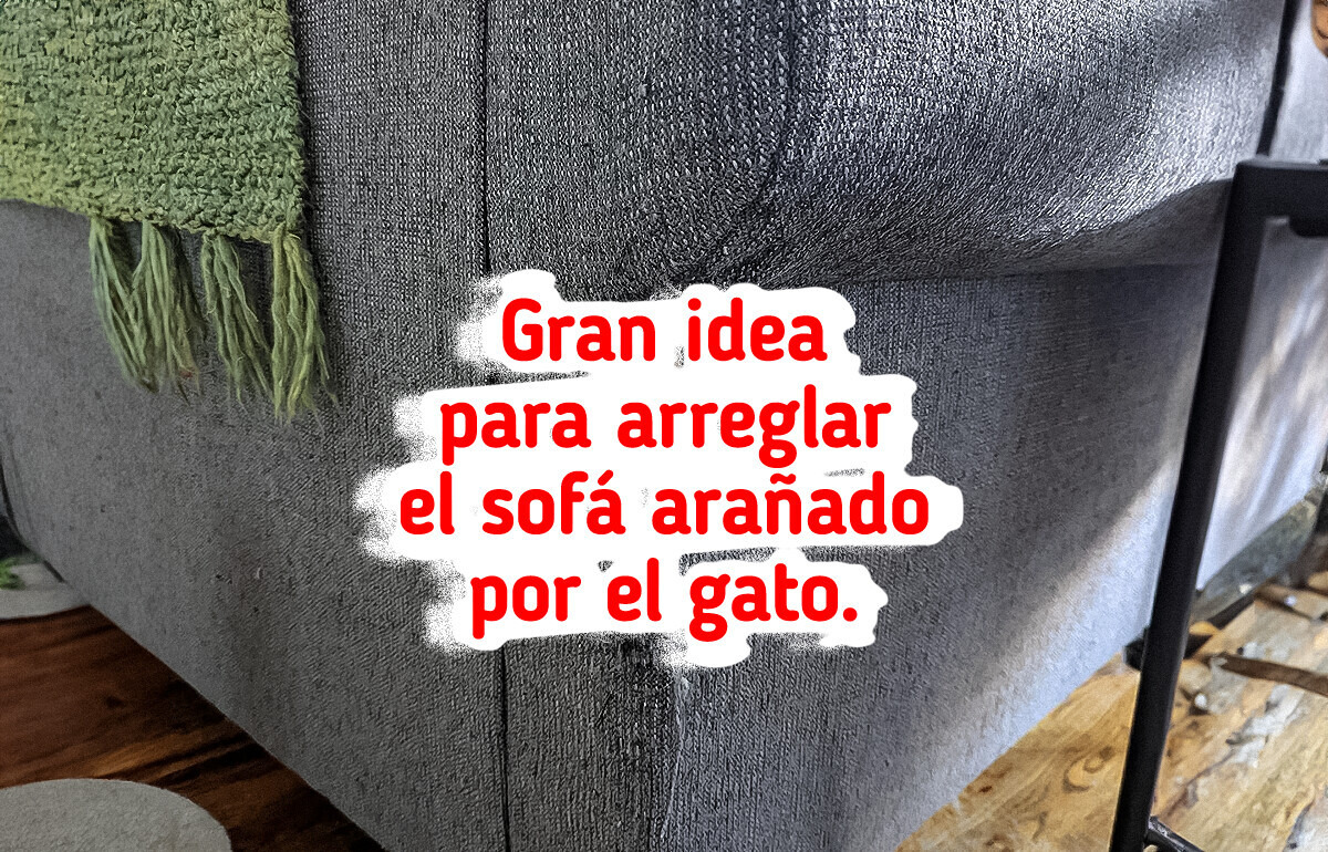 15 Cosas que parecían basura hasta que alguien les dio otra oportunidad