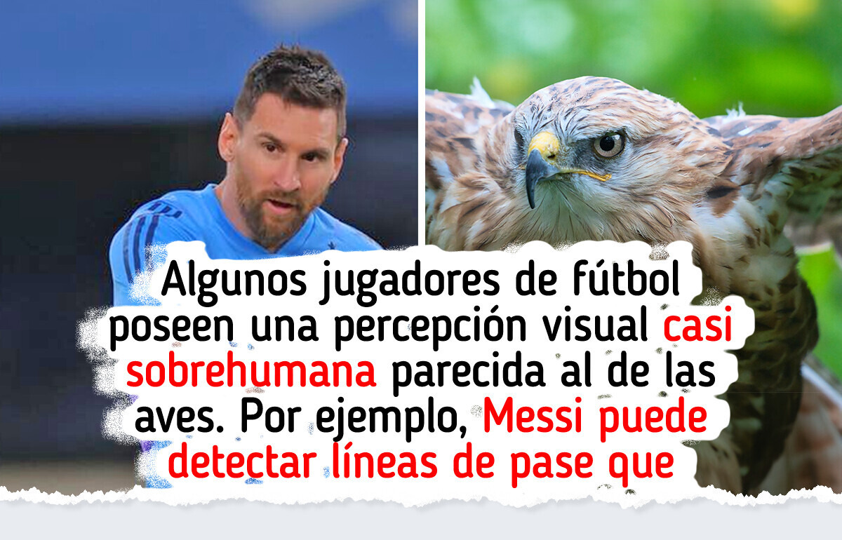 Científicos comparan la vista de un futbolista con la de un halcón (y resulta que no es solo agilidad) Científicos comparan la vista de un futbolista con la de un halcón (y resulta que no es solo agilidad)