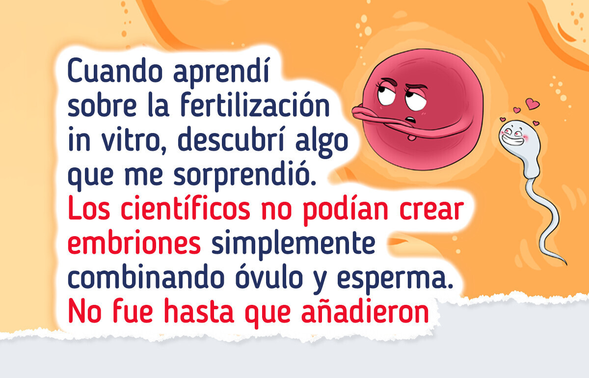 12 Misterios del cuerpo humano que ni la ciencia ha logrado resolver por completo 12 Misterios del cuerpo humano que ni la ciencia ha logrado resolver por completo