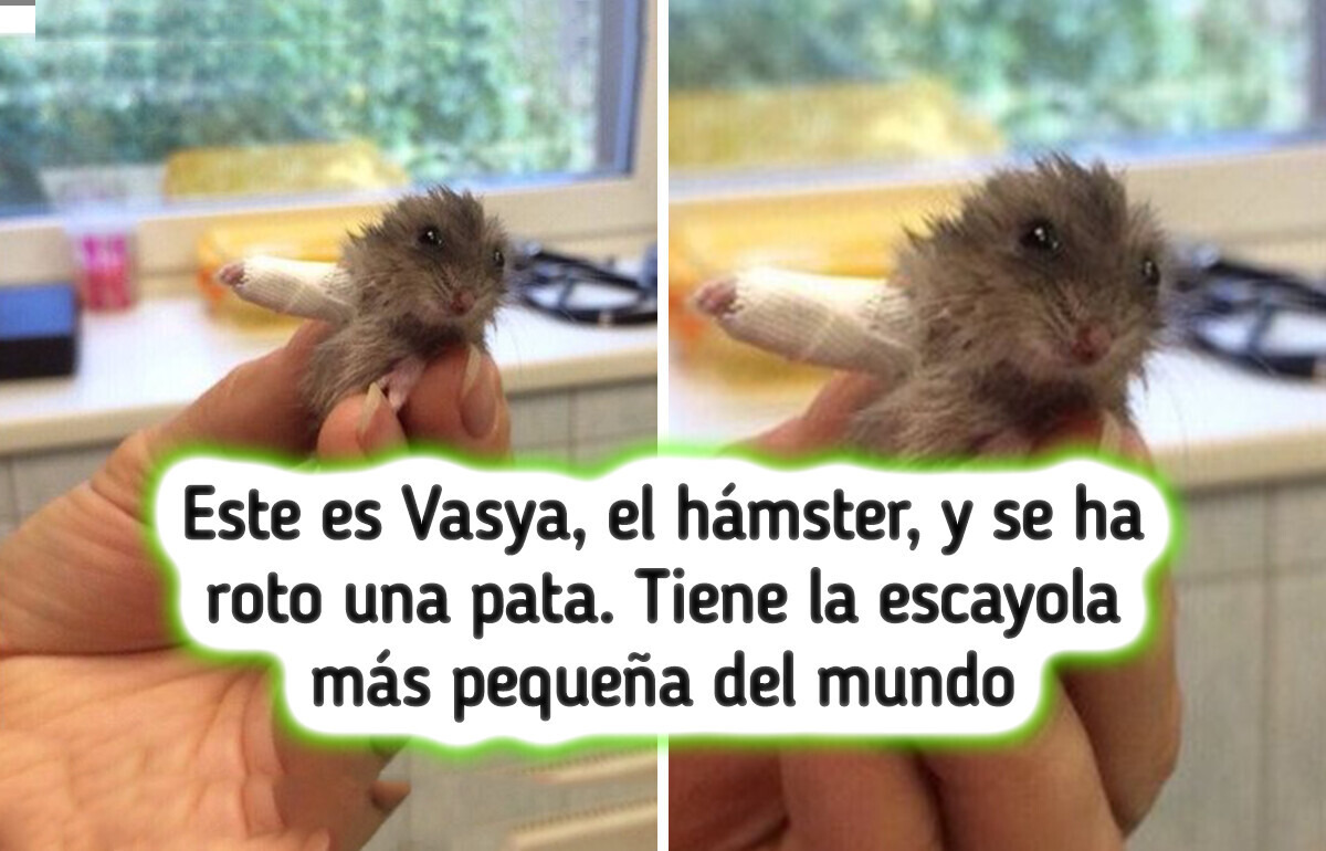 20 Trabajos poco comunes donde cada día es una nueva aventura