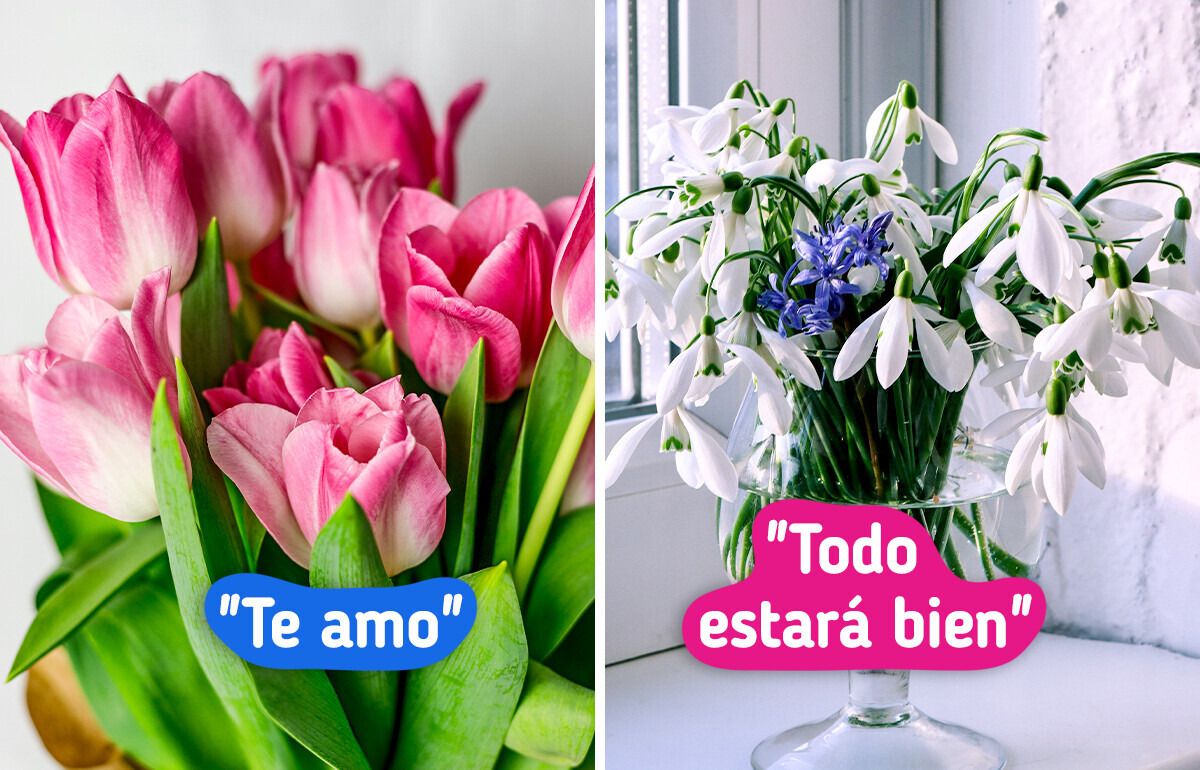 15+ Flores que pueden hablar por ti cuando las palabras no son suficientes, y lo que realmente dicen
