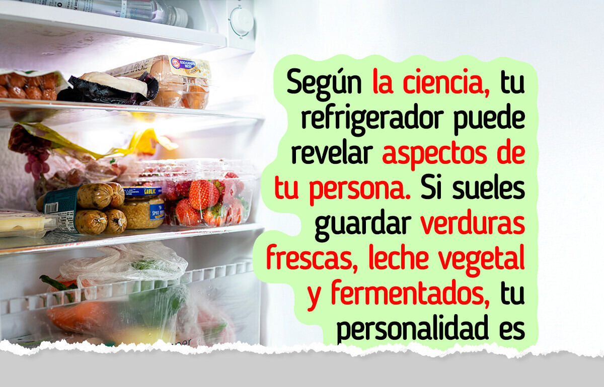 ¿Qué dice tu refrigerador sobre ti? Estas 14 fotos podrían revelar más de lo que piensas