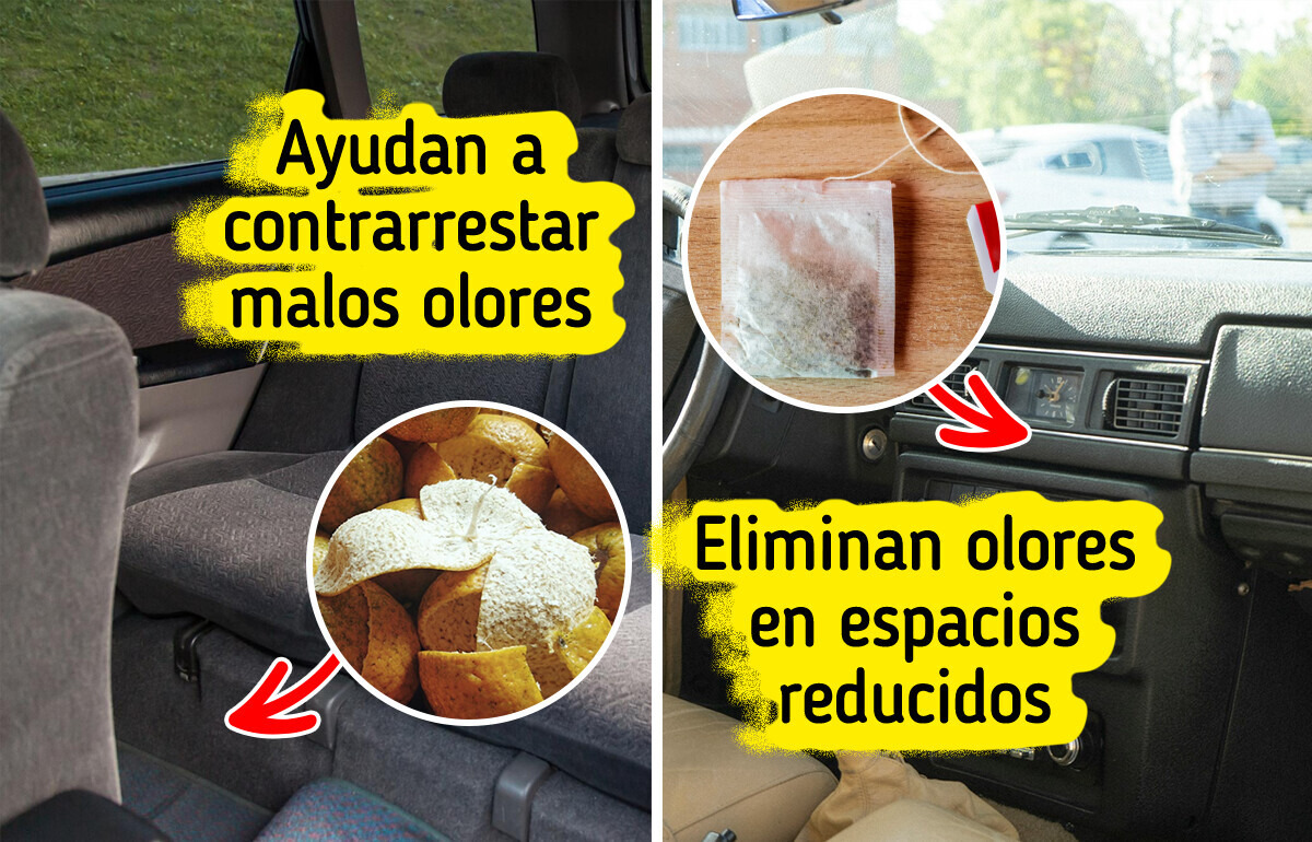11 Trucos creativos que pueden mejorar el aroma en tu coche con cosas que ya tienes en casa