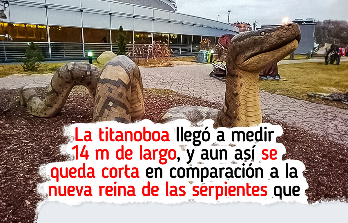 Científicos descubren una nueva serpiente gigante y es mucho más grande de lo que imaginábamos