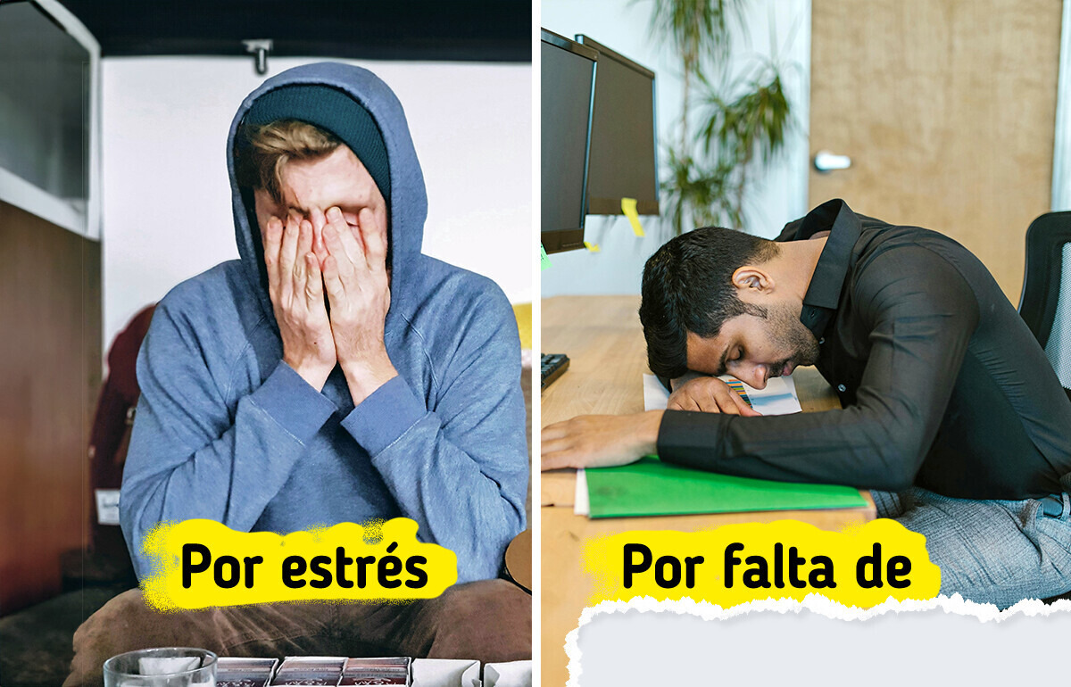 Por qué el cerebro nos lleva a elegir comida chatarra y consejos para ayudar a frenar los antojos