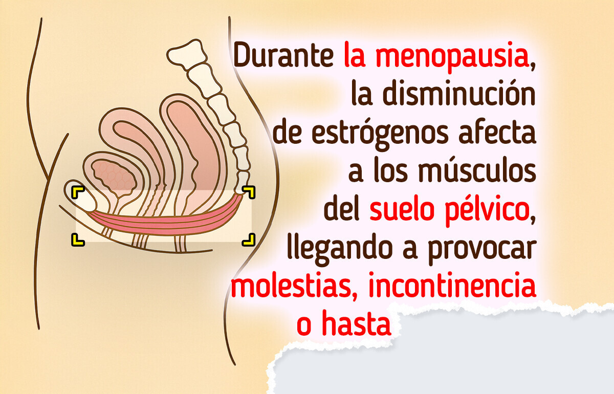 7 Verdades que todas deberíamos saber sobre el suelo pélvico