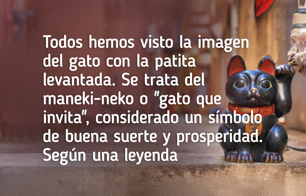 10 Datos sobre gatos que demostraron tener un lugar en la historia