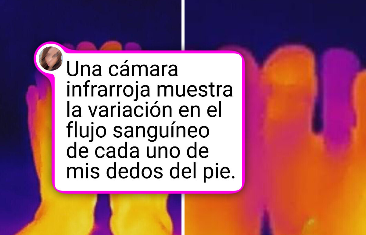 20 Fotos que revelan la cara oculta de cosas cotidianos (y realmente no son lo que parecen)