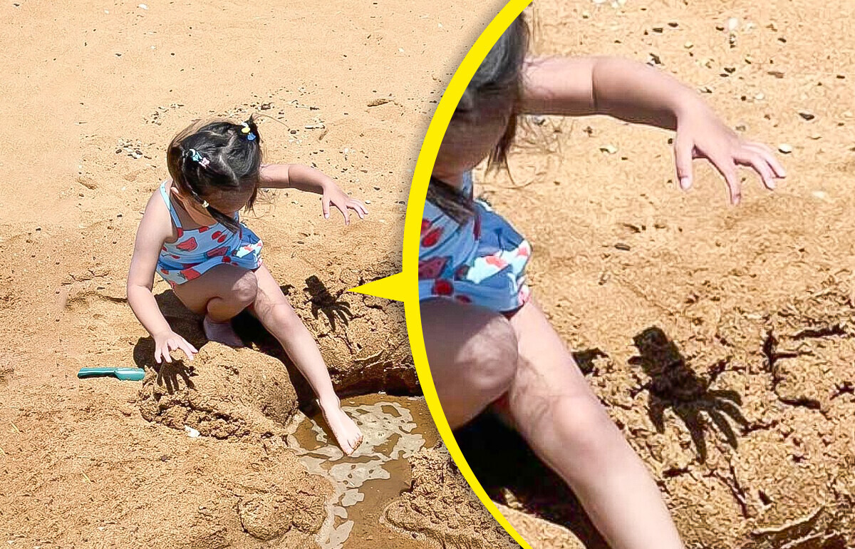 15 Fotos confusas que tu cerebro tardará en procesar