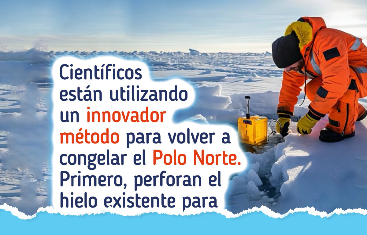 Científicos desarrollaron un método innovador para fabricar hielo y volver a congelar el Polo Norte Científicos desarrollaron un método innovador para fabricar hielo y volver a congelar el Polo Norte