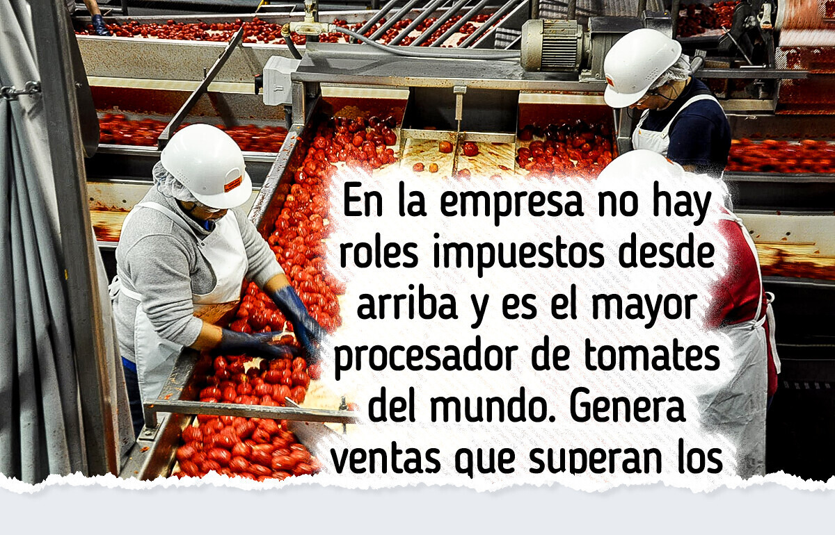 La historia de la empresa que alcanzó el éxito sin necesidad de tener jefes
