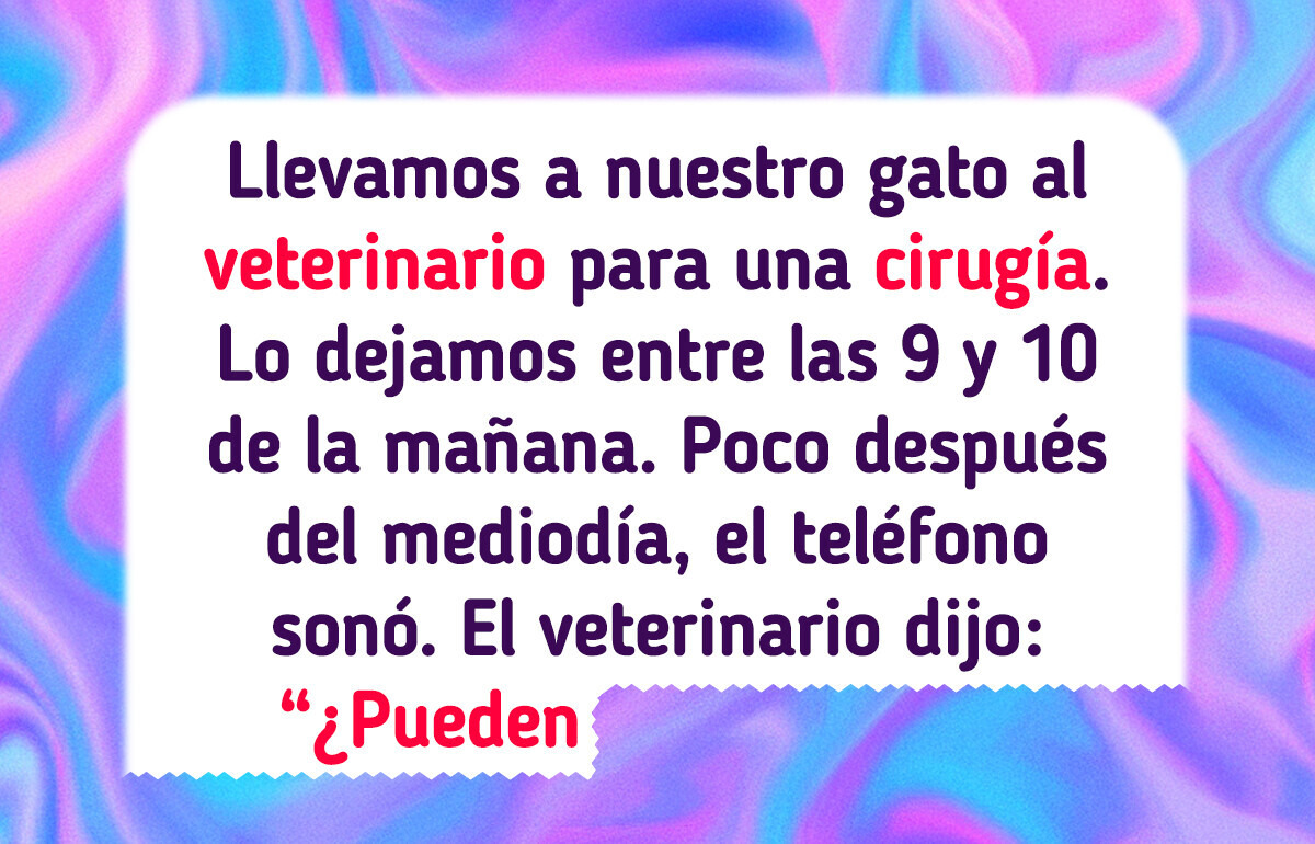 13 Mascotas tan dramáticas en el veterinario que merecen su propia película