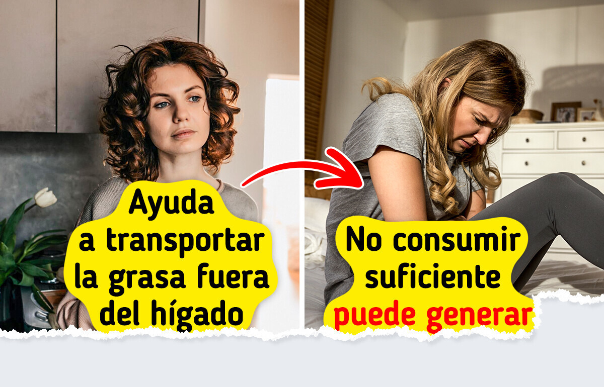 Descubre todo lo que puede mejorar en tu salud con un solo nutriente que casi nadie conoce Descubre todo lo que puede mejorar en tu salud con un solo nutriente que casi nadie conoce