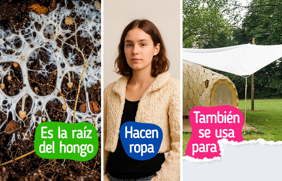 Un hongo podría ser la clave para la solución a la contaminación ambiental