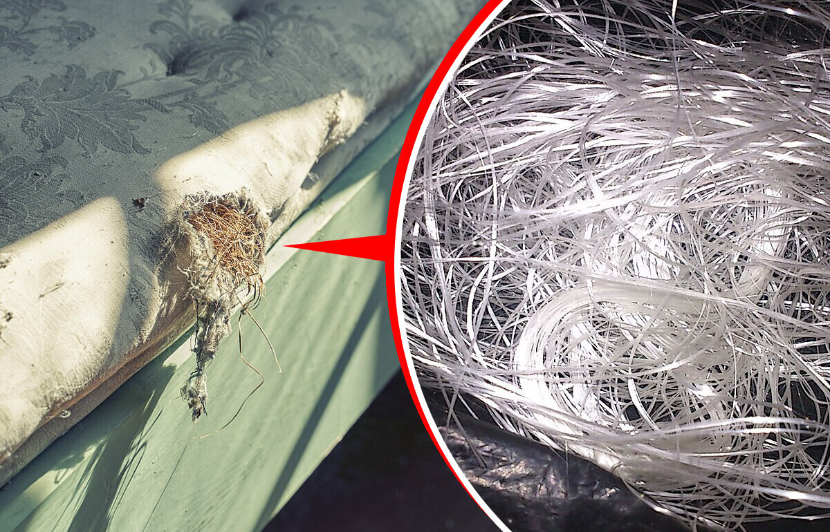 Por qué quitarle el forro a tu colchón para lavarlo podría poner en riesgo tu salud Por qué quitarle el forro a tu colchón para lavarlo podría poner en riesgo tu salud