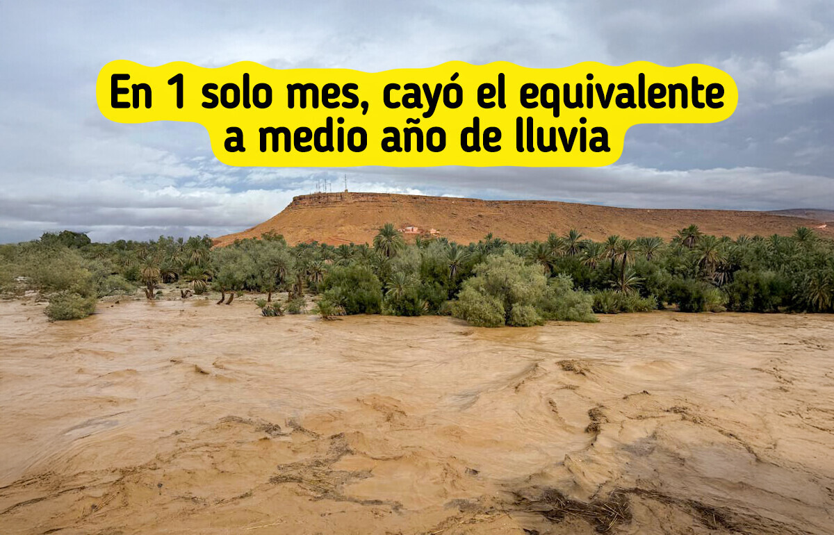 El Sahara se inundó de repente y nadie estaba preparado para lo que vino después El Sahara se inundó de repente y nadie estaba preparado para lo que vino después