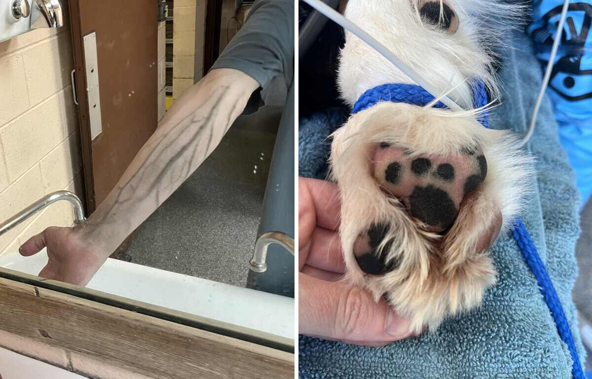 20 Fotos que no creerías si no estuvieran aquí frente a tus ojos 20 Fotos que no creerías si no estuvieran aquí frente a tus ojos