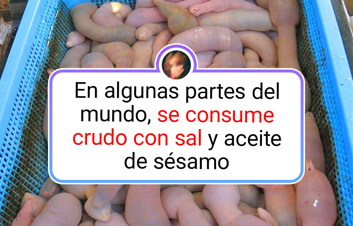 10 Criaturas misteriosas que la ciencia aún no logra explicar del todo 10 Criaturas misteriosas que la ciencia aún no logra explicar del todo