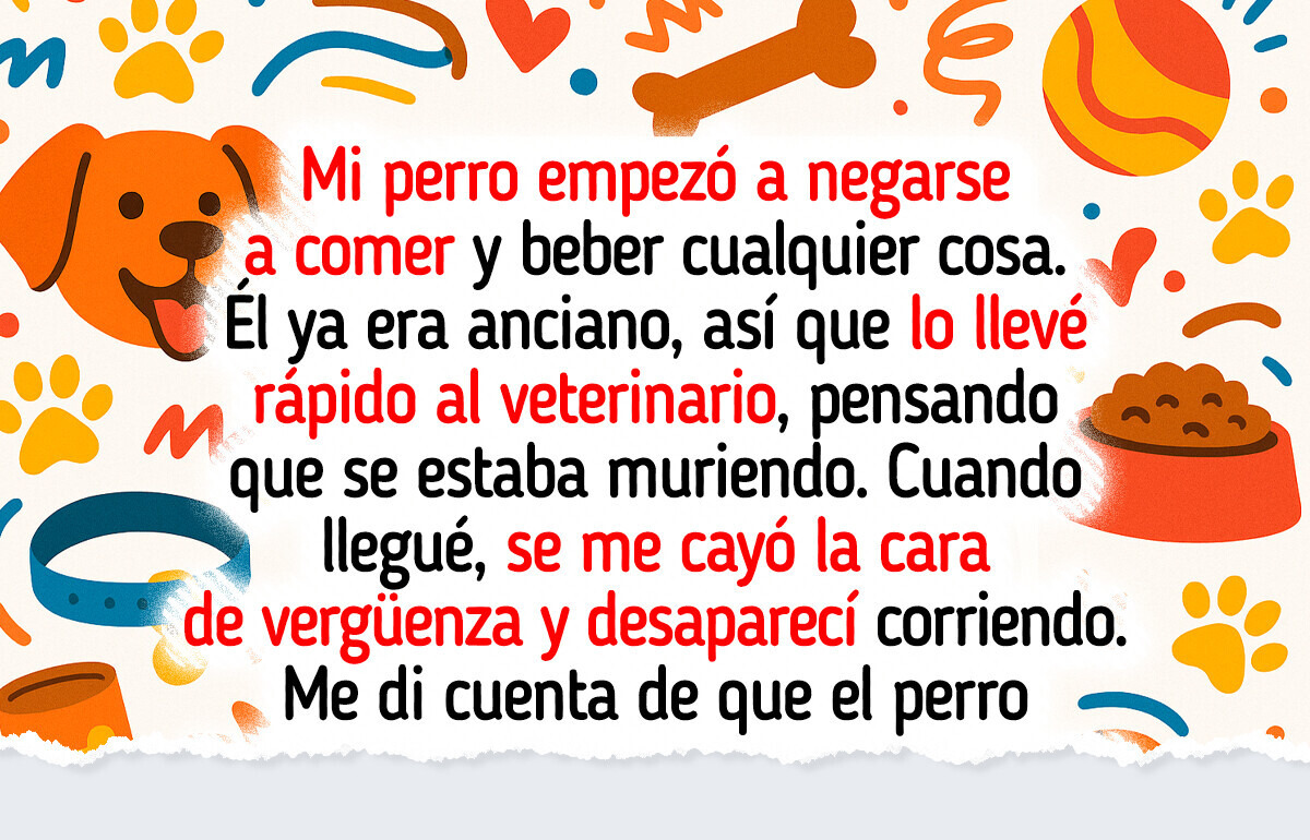 20+ Anécdotas veterinarias tan divertidas que casi hacen olvidar la factura 20+ Anécdotas veterinarias tan divertidas que casi hacen olvidar la factura