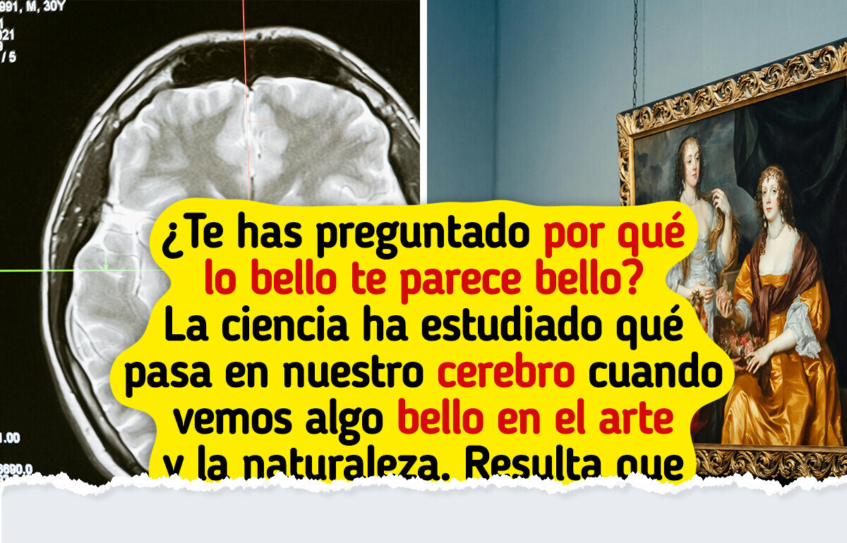 Lo que la ciencia dice sobre el cerebro y la belleza en solo 5 datos clave