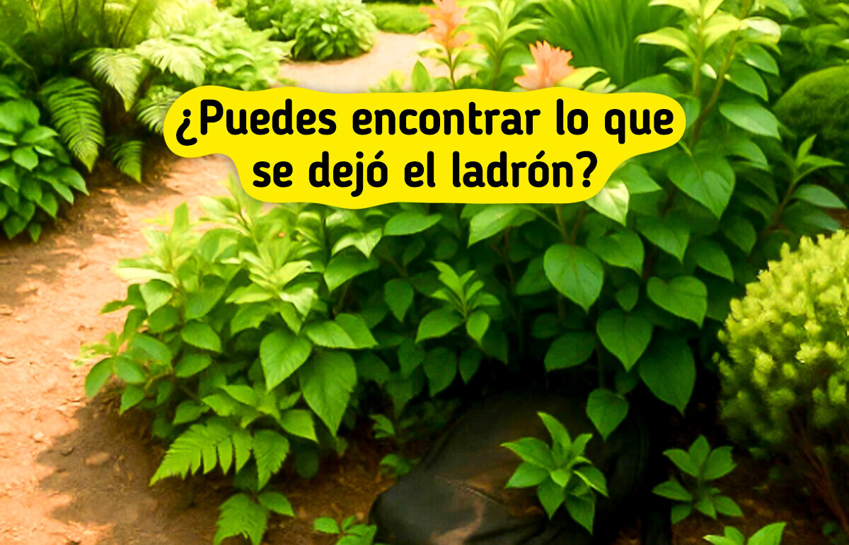 ¡Atrapa al ladrón! Resuelve el misterio con estas 10 pistas