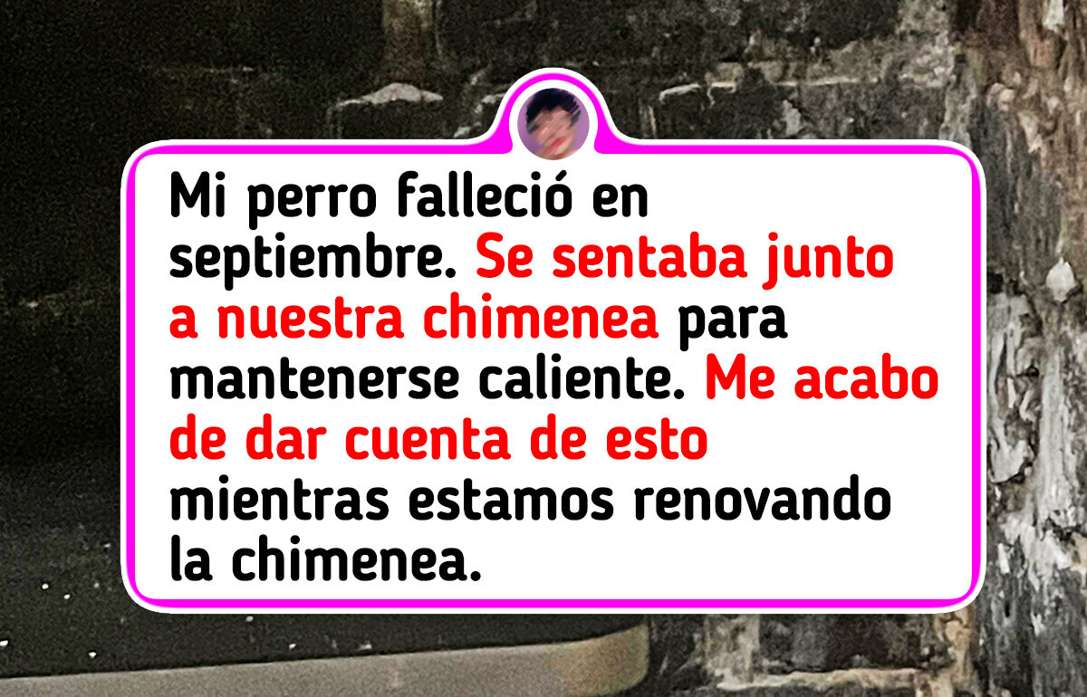 20+ Momentos en que el universo activó el modo "giro inesperado"