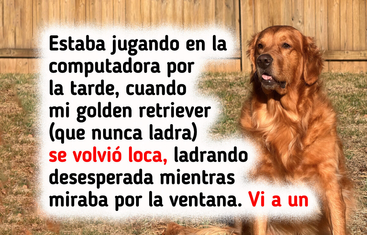 16 Adorables animales cuyo amor es tan grande que podría llegar hasta la Luna y volver